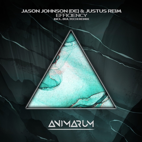 Jason Johnson (DE), Justus Reim - Efficency [AMR40]